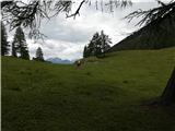 Weißenbach - Zgornja Belška planina / Obervellacheralm