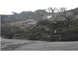 Thredbo - Eagles Nest