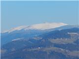 Šteharski vrh (Šteharnikov vrh), (1018 m) Še enkrat Golica