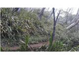 Thredbo - Eagles Nest