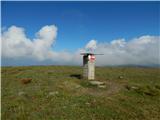 Velika Svinja / Ladinger Spitze (Svinška planina / Saualpe)