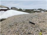 Eagles Nest - Mount Kosciuszko