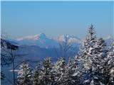 Šteharski vrh (Šteharnikov vrh), (1018 m) Kamniške in Savinjske Alpe