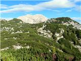 Veliki Selišnik-Debeli vrh-Mrežce-Lipanski vrh-Brda Rjavina in V.Selišnik