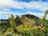 Veliki Selišnik-Debeli vrh-Mrežce-Lipanski vrh-Brda Brda