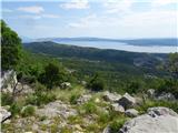 Staza litica - Pot  nad pečinami (Crikvenica, Novi Vinodolski) Pogled proti Krku