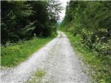 Weißenbach - Zgornja Belška planina / Obervellacheralm