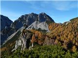 Sele-Zvrhnji Kot (Male) / Zell-Oberwinkel (Male) - Hajnžev Praprotnik / Zeller Prapotnik