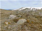 Eagles Nest - Mount Kosciuszko