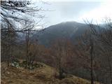 Nizki vrh (Monte Nischiuarch), 1258 m Nekoč del planine, sedaj vse zaraščeno. Zadaj Monte Starmaz (Strmec?), stranski vrh v pogorju Stola..