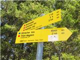S ceste se dvigne označena karnijska pot, ki pelje - mimo Kapina - proti Bistriški planini