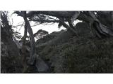 Thredbo - Eagles Nest