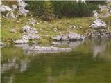 krokodil v jezercu:)