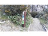 Thredbo - Eagles Nest