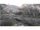 Thredbo - Lake Cootapatamba