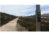 Charlotte Pass - Seaman's Hut