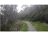 Thredbo - Eagles Nest