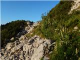 Gozdec - Old mountain hut on Kanin