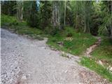 Žabnice / Camporosso in Valcanale - Višarska planina / Malga di Lussari