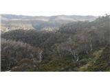 Thredbo - Lake Cootapatamba