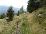 Bergheimat (Leppner Alm) - Dachskofel