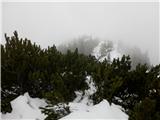 magla i snijeg prema vrhu