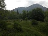 Dolina Aupaska / Val Aupa - Creta Grauzaria