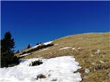 Zadnji travnik pred snegom