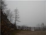 V Avstriji megleno