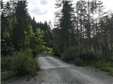 Weißenbach - Zgornja Belška planina / Obervellacheralm