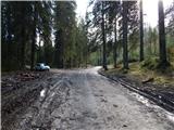 Road on Pokljuka (wood depot GG Bled) - Berjanca