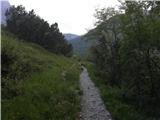 Dolina Avpe / Val Aupa - Creta Grauzaria