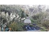 Thredbo - Mount Kosciuszko