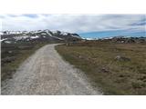 Charlotte Pass - Seaman's Hut