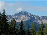 Ovčji vrh (Kozjak) / Geissberg (Kosiak)