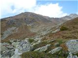 Unteralmhütte (Weneberger Alm) - Scharnik