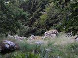 Gozdec - Old mountain hut on Kanin