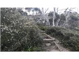 Thredbo - Eagles Nest