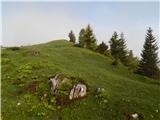 Vrtinjlogarski graben / Val Bartolo - Gorjanski vrh / Göriacher Berg / Monte Goriane