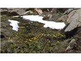 Eagles Nest - Mount Kosciuszko