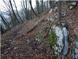 Grahovo ob Bači (Brelih) - Bukovski vrh