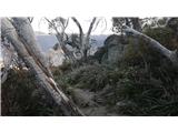 Thredbo - Eagles Nest