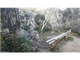 Thredbo - Mount Kosciuszko