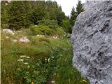 Gozdec - Old mountain hut on Kanin