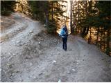 za Železnico - tam, kjer je dilema, kam zaviti, so na drevesih kvadratne oznake za Alpe Adria Trail
