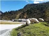 Sportgastein - Vordere Geislspitze / Vorderer Gesselkopf