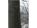 Na poti se na drevesih pojavljajo ti enostavni križi.