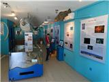 eko center za delfine Modri svet