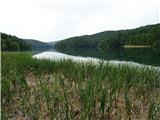 Oštri Medvjeđak Plitvička jezera - Proščansko jezero