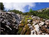 Monte Scinauz Še en potoček za obnovitev zalog vode